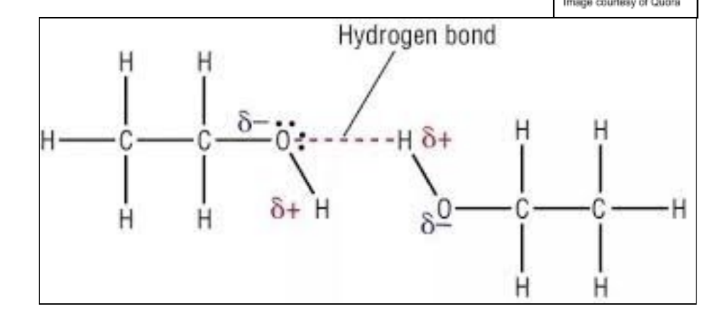 <p>Much higher bpts than alkanes w/ similar Mr value: one pair of electrons on Oxygen atom in alcohol is able to form hydrogen bonds witha hydrogen bonded to oxygen on a neighbouring alcohol molecule </p><p>Alcohols and water good solvents for compounds that can form H bonds in solution</p><p>Poor for dissolving of some polar molecules (halogenoalkanes) which cannot form H bonds </p>