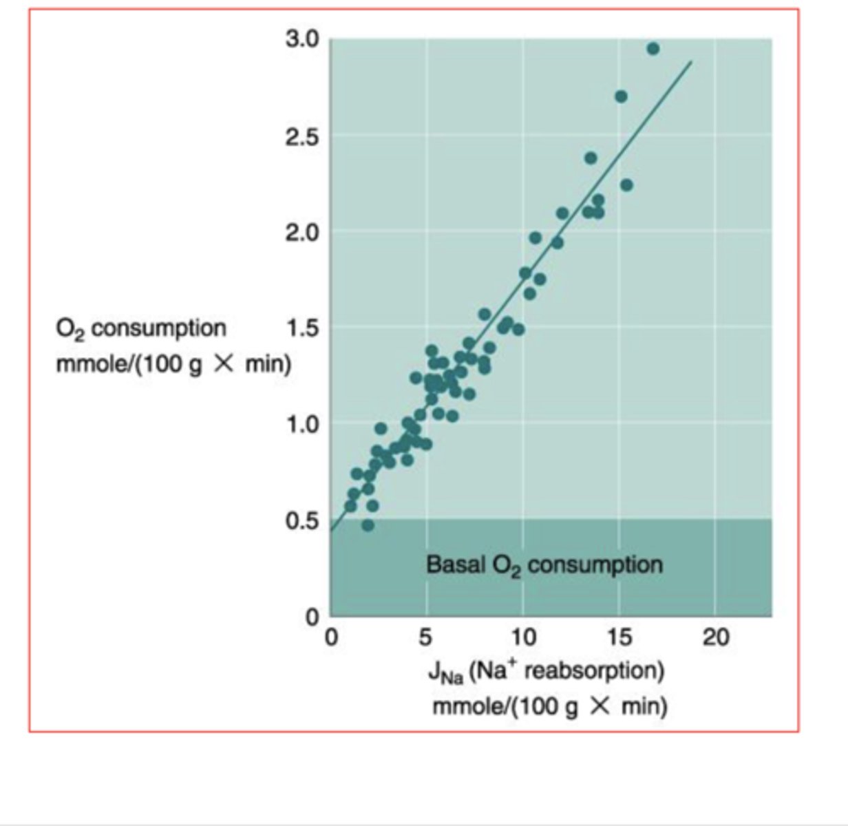 <p>all Na+ transport ultimately depends on the activity of ATP-driven Na+/K+ pump so it's dependent on generation of ATP b oxidative metabolism</p><p>* kidneys responsible for 7-10% of total O2 consumption</p>