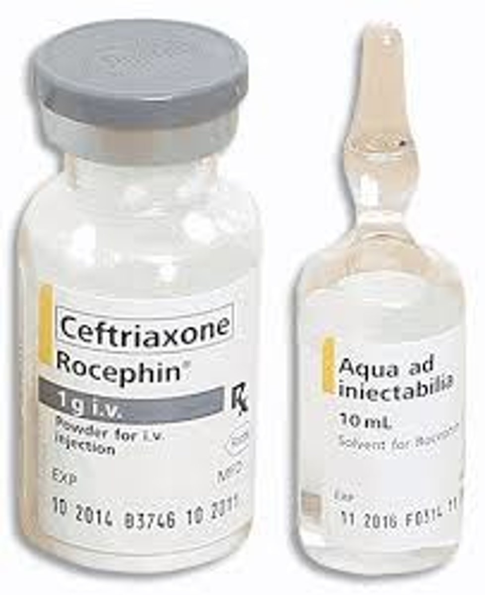 <p>Ceftriaxone is used to treat bacterial infections in many different parts of the body. This medicine is also given before certain types of surgery to prevent infections. Ceftriaxone belongs to the class of medicines known as cephalosporin antibiotics. It works by killing bacteria or preventing their growth</p><p>ceftriaxone (sef-try-aks-one)</p><p>trade name - Rocephin</p><p>Binds to the bacterial cell wall membrane, causing cell death.</p>