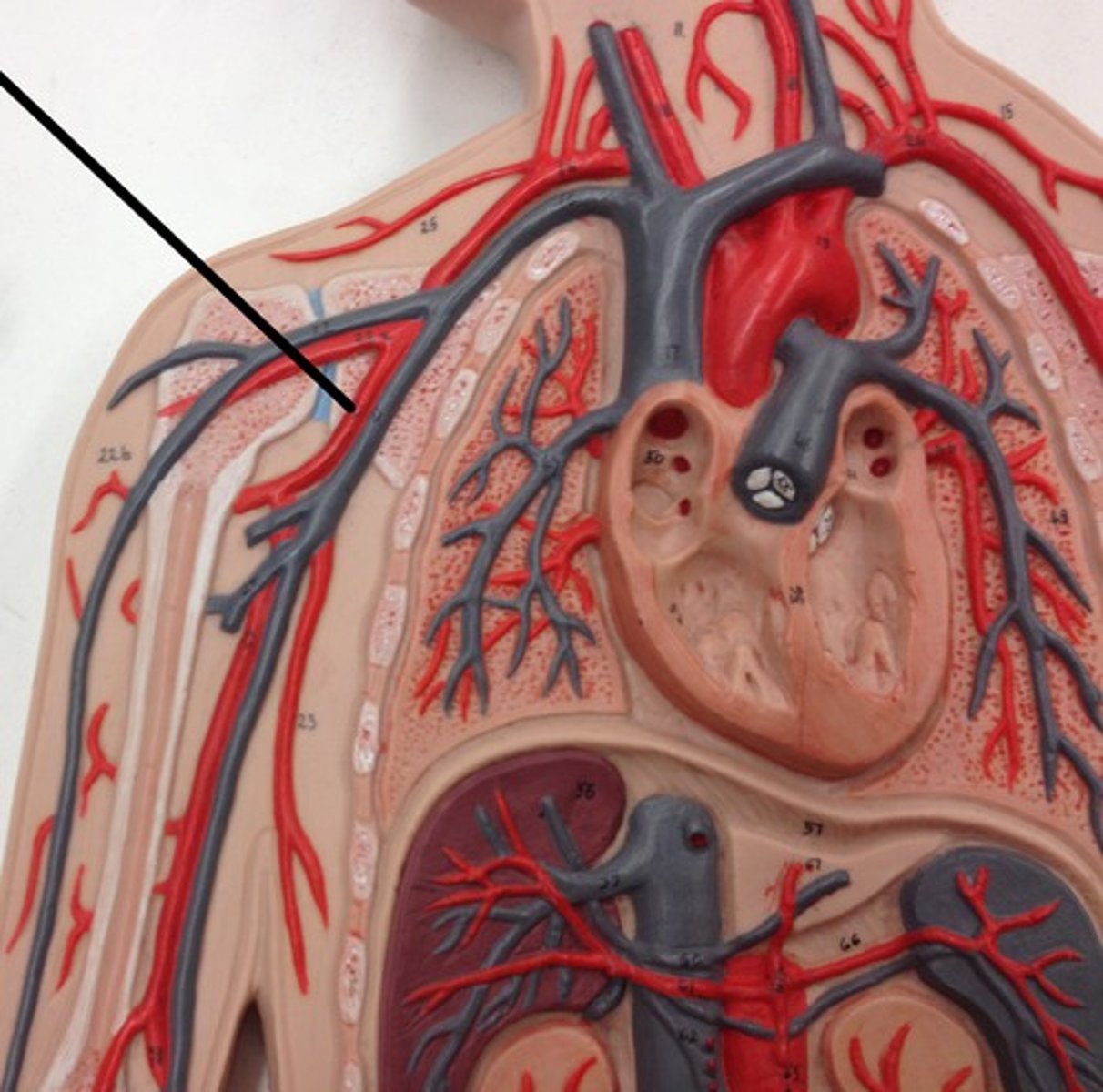 <p>What structure?</p>