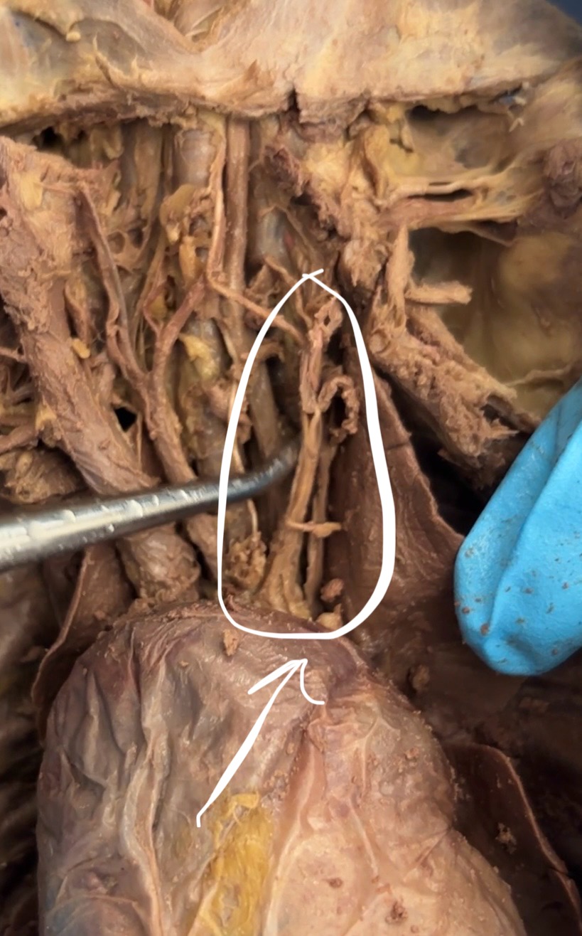 <p>What’s this?</p>