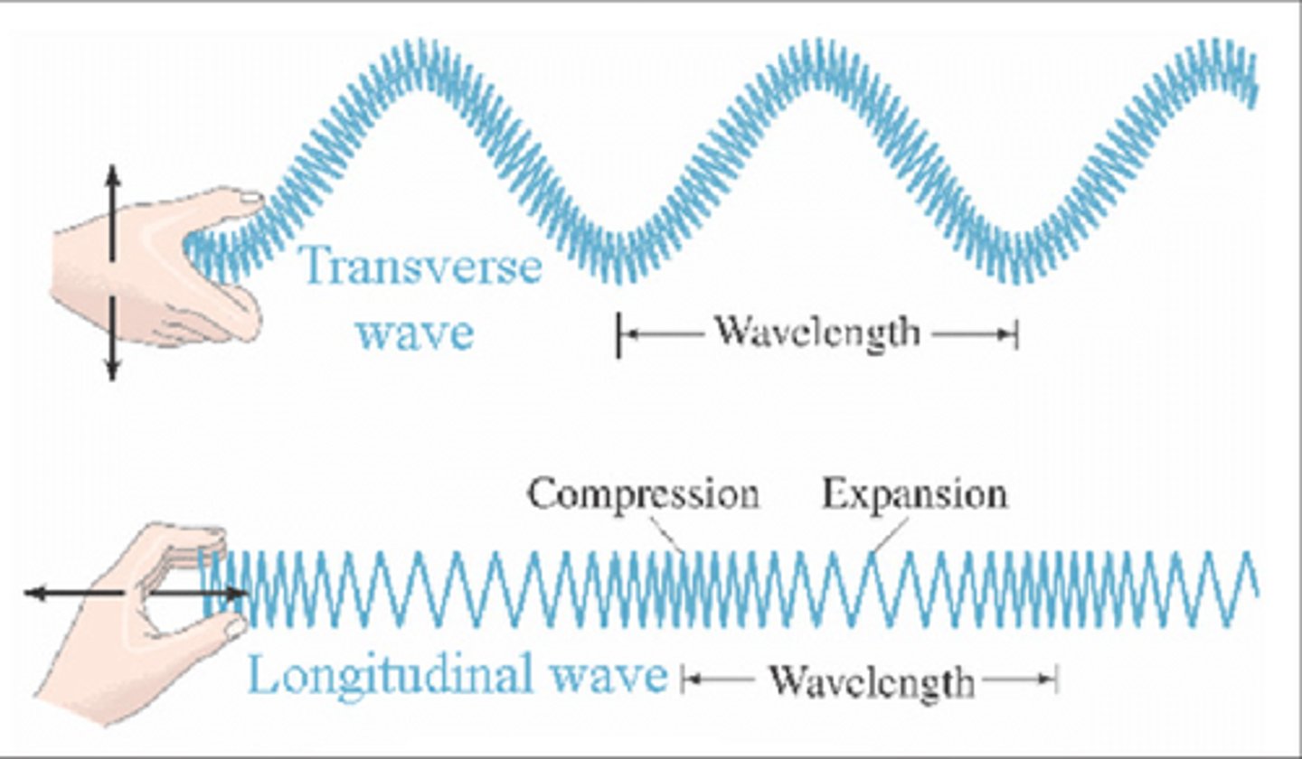 <p>In the same direction that the wave propagates</p>