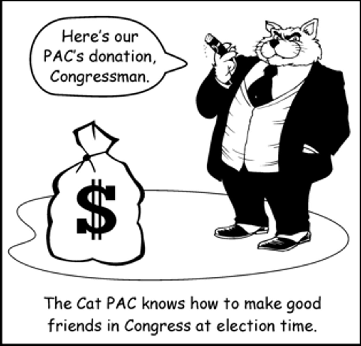 <p>This raises and spreads money in order to elect/defeat US electoral candidates, with a donation limit of $55,000 per candidate per election.</p>