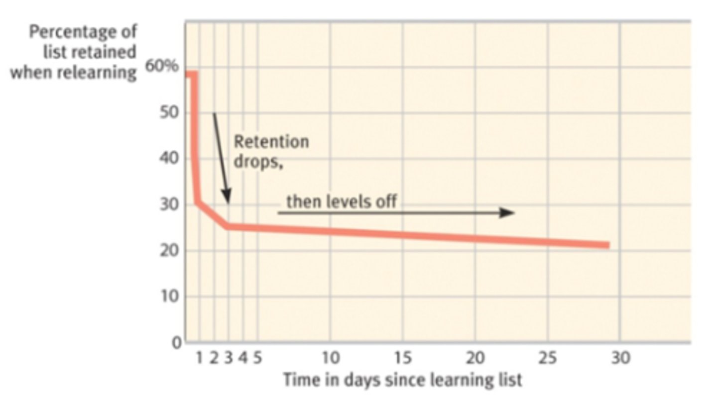 <p>the course of forgetting is initially rapid, then levels off with time</p>