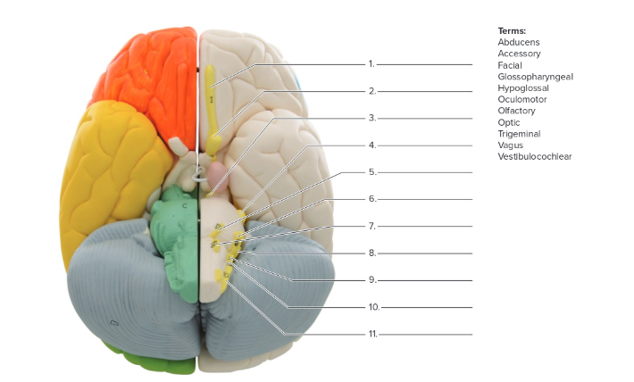 <p>Label the following:</p>