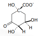 <p>[SHIKIMIC ACID PATHWAY] What is the Step 3 in Shikimic Acid Pathway</p>