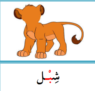 <p></p>