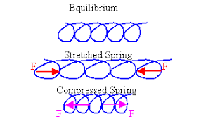 <ul><li><p>Stretch it, it pulls back</p></li><li><p>Compress it, it pushes out</p><p><br>Elastic force always acts <strong>toward the equilibrium position</strong></p></li></ul><p></p>