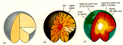 <ul><li><p>A process in which heavy elements sink towards the center of an object while the lighter elements remain closer to the surface</p></li><li><p>This is the reason that internal structures of planets are dense, rocky, and heavy</p></li><li><p>Solar wind blows out the remaining nebular gases which helped form the large gaseous atmospheres of the Jovian planets </p></li></ul><p></p>