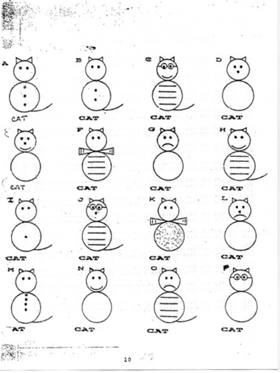 <p>We are looking for a cat with stripes on its belly, two eyes, glasses, nose , and a tail.</p><p>Cats are alphabetical from left to right.......</p><p>A. cat C B. cat J C. cat O</p>