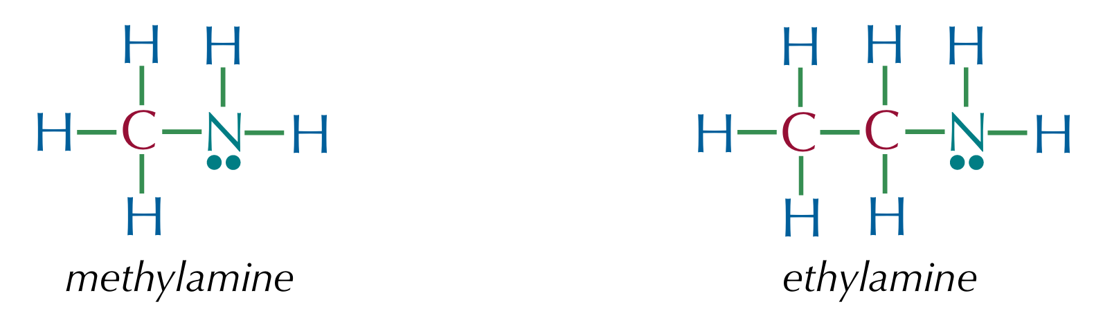<p>An amine has the structure R₃N, the R groups can be hydrogens or another group<br><br>In amines, the nitrogen always has a lone pair</p>