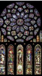 <p>The rose of France</p>