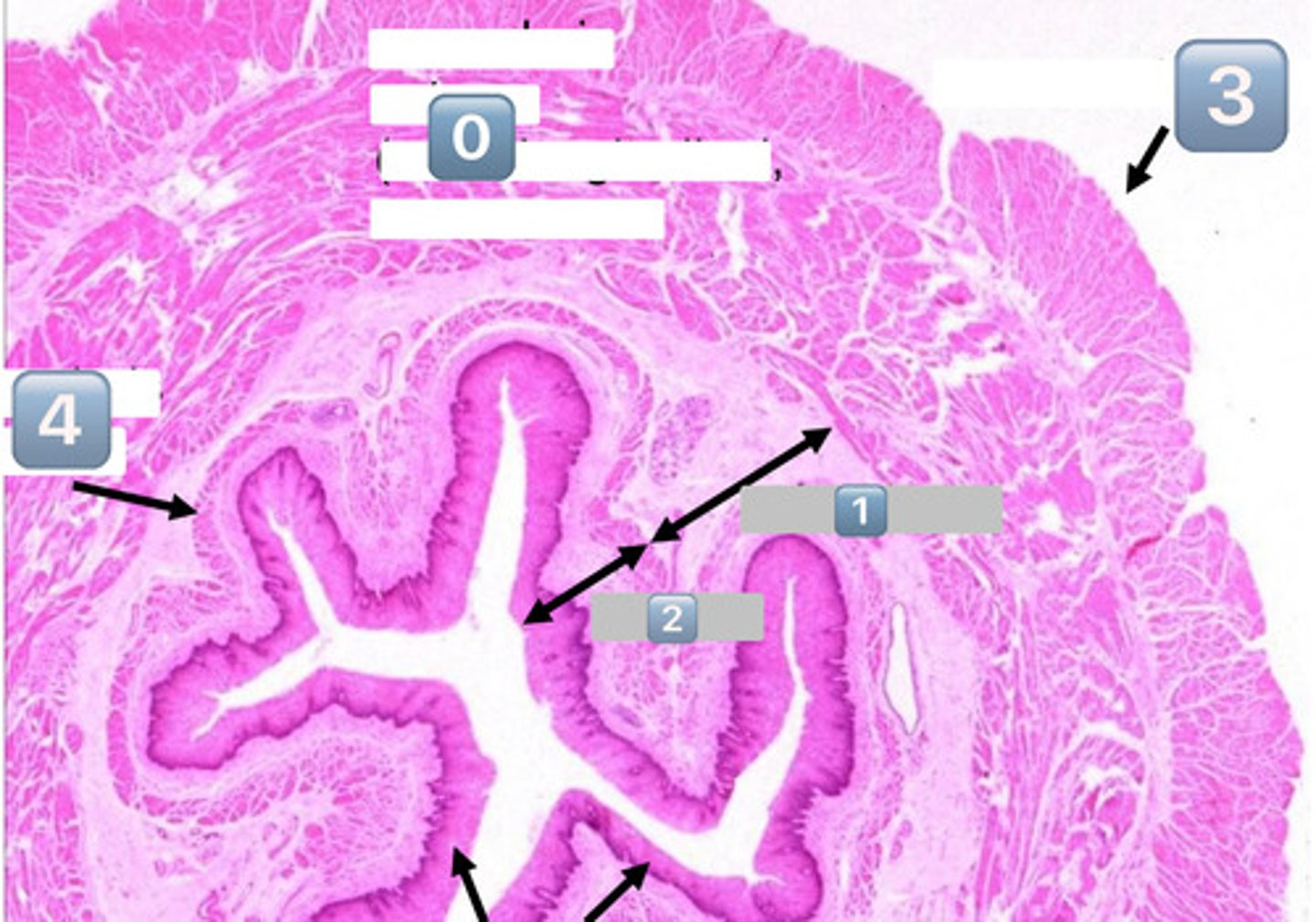 <p>3</p>