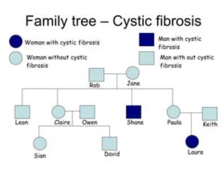 <p>Family History</p>