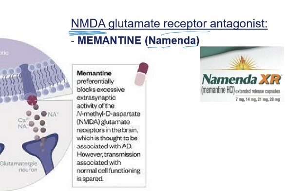 <p>A NMDA glutamate receptor agonist used in dementia treatment.</p>