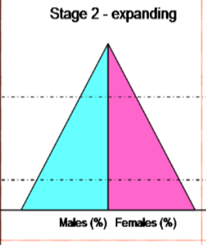 <ul><li><p>high birth rate</p></li><li><p>death rate falling rapidly</p></li><li><p>very rapid natural increase</p></li></ul>