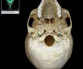<p>Opening in base of skull Transmits internal carotid artery and carotid plexus of sympathetic nerves from neck to carotid canal and cranial cavity Superior opening of canal is into foramen lacerum</p>