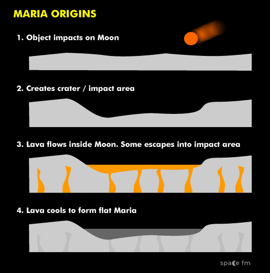 <p>Darks areas on the Moon also known as ‘seas’ that covers 17% of the Moon’s surface. They appear darker because it contains more iron-rich elements.</p><p>Maria formed during a time of heavy bombardment where volcanic activity forced lava to the surface which later turned into basalt</p><p>There is less maria on the far side of the Moon</p>