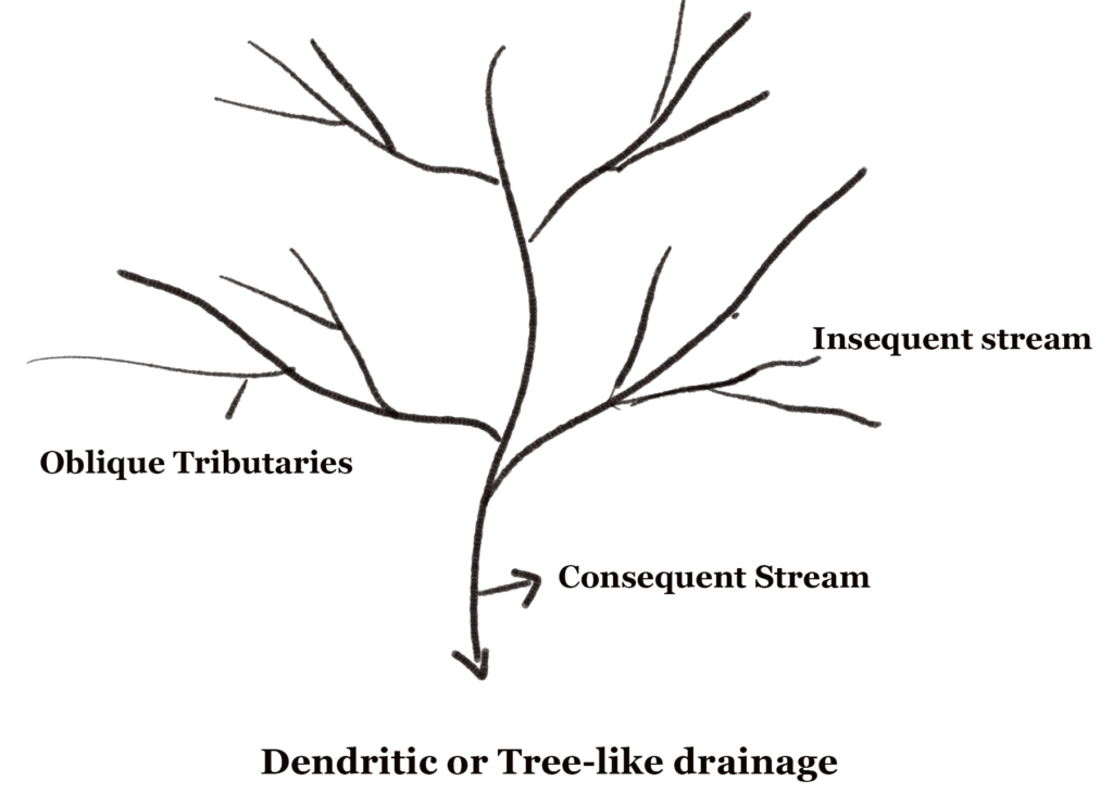 <p>Are most common where rocks or sediments are flat-lying with uniform rock types that offer equal resistance to erosion (homogenous rock) meaning there is no apparent control over the direction the tributaries take.</p>