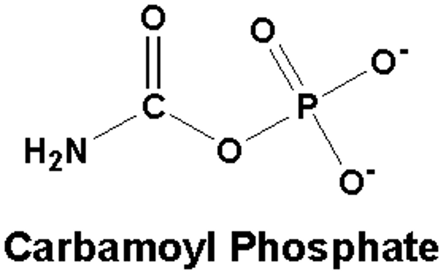 <p>product of the carbamoyl phosphate synthetase II reaction - same product in the urea cycle</p>