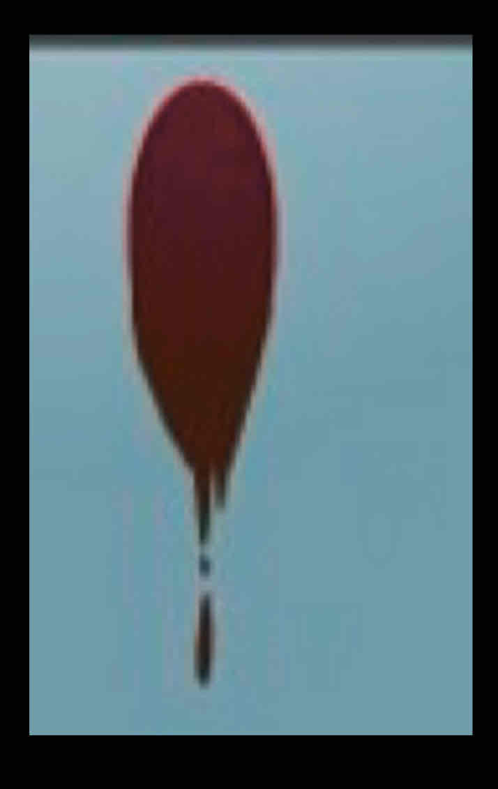 <p>What can you infer about the blood drop causing the splash?</p>