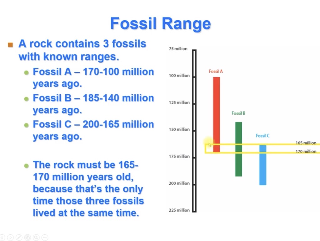<p>How do we determine the fossil ranges of multiple fossils in the same rock?</p>
