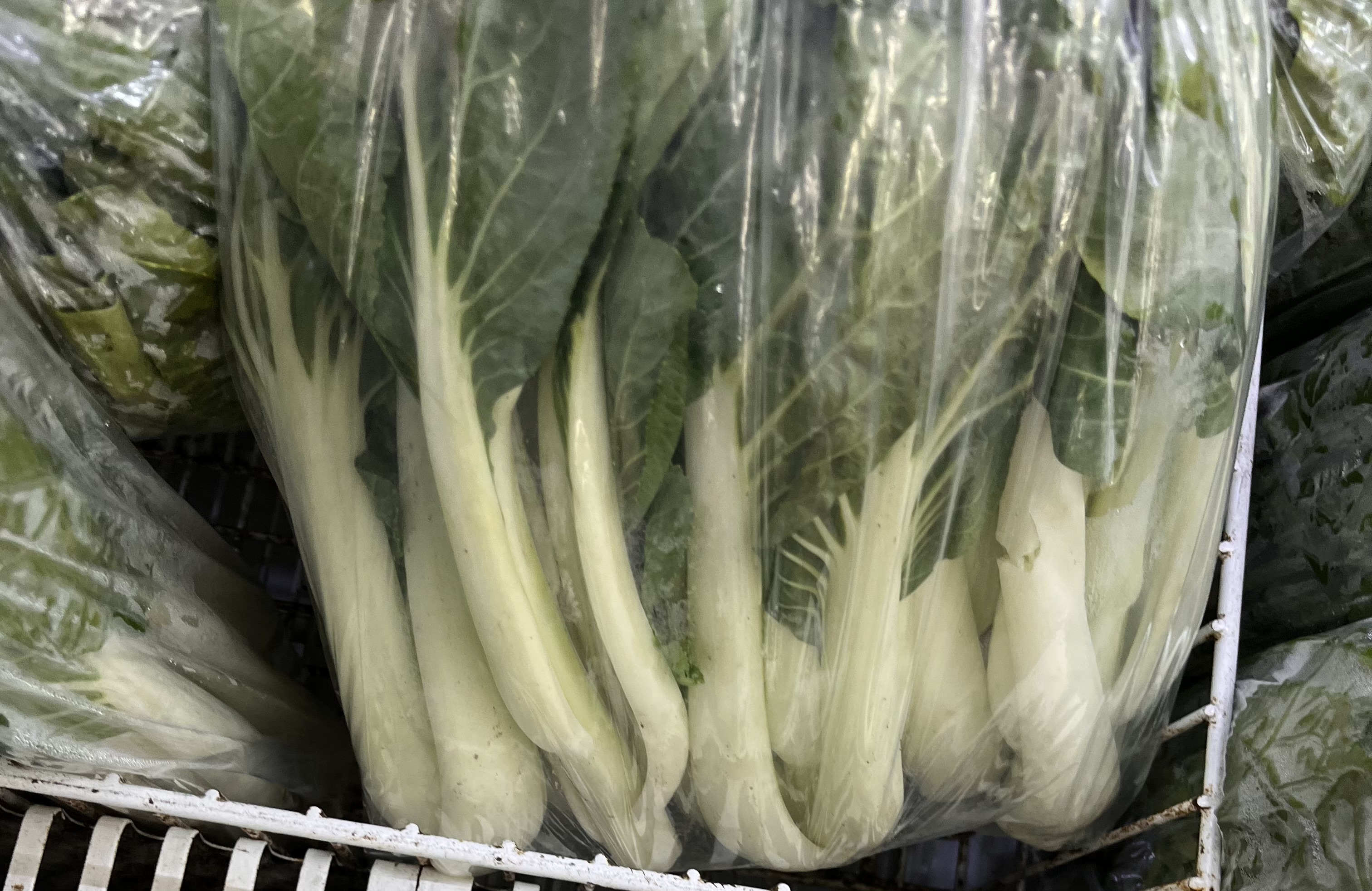 <p>BOK CHOY SUM</p>