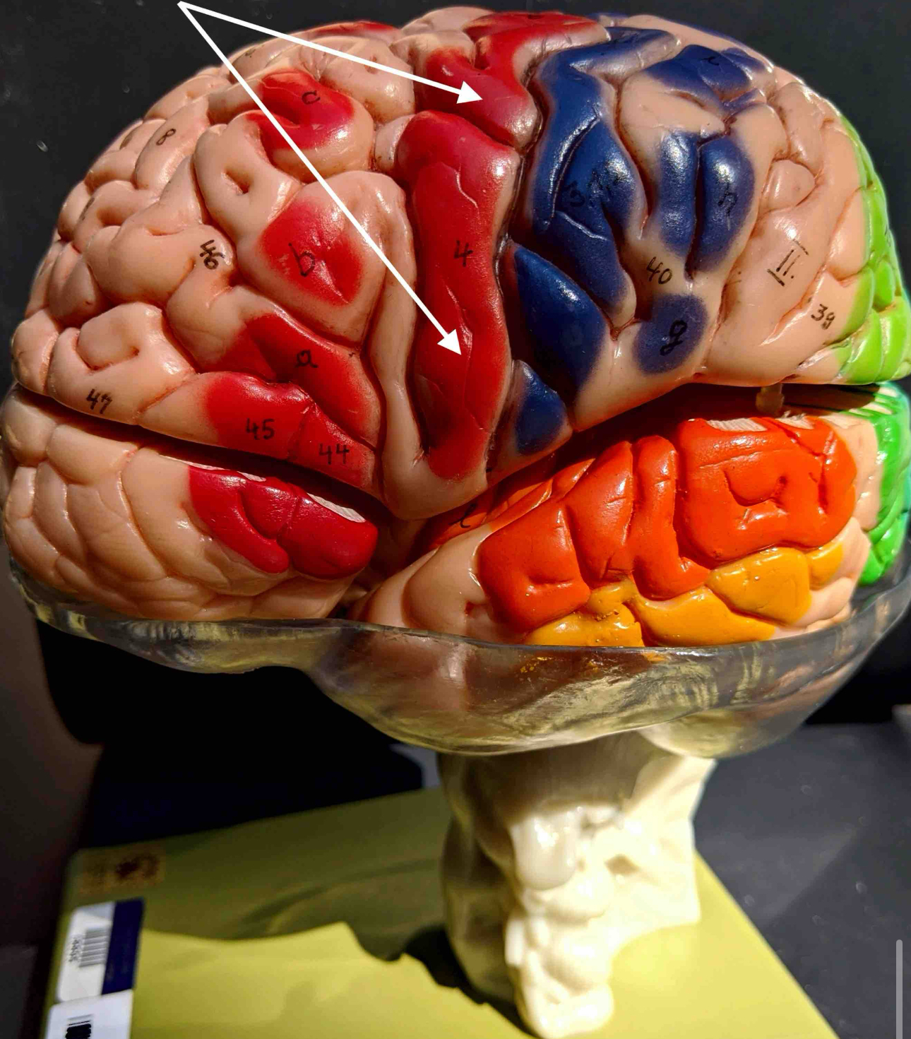 <p>What area is this</p>