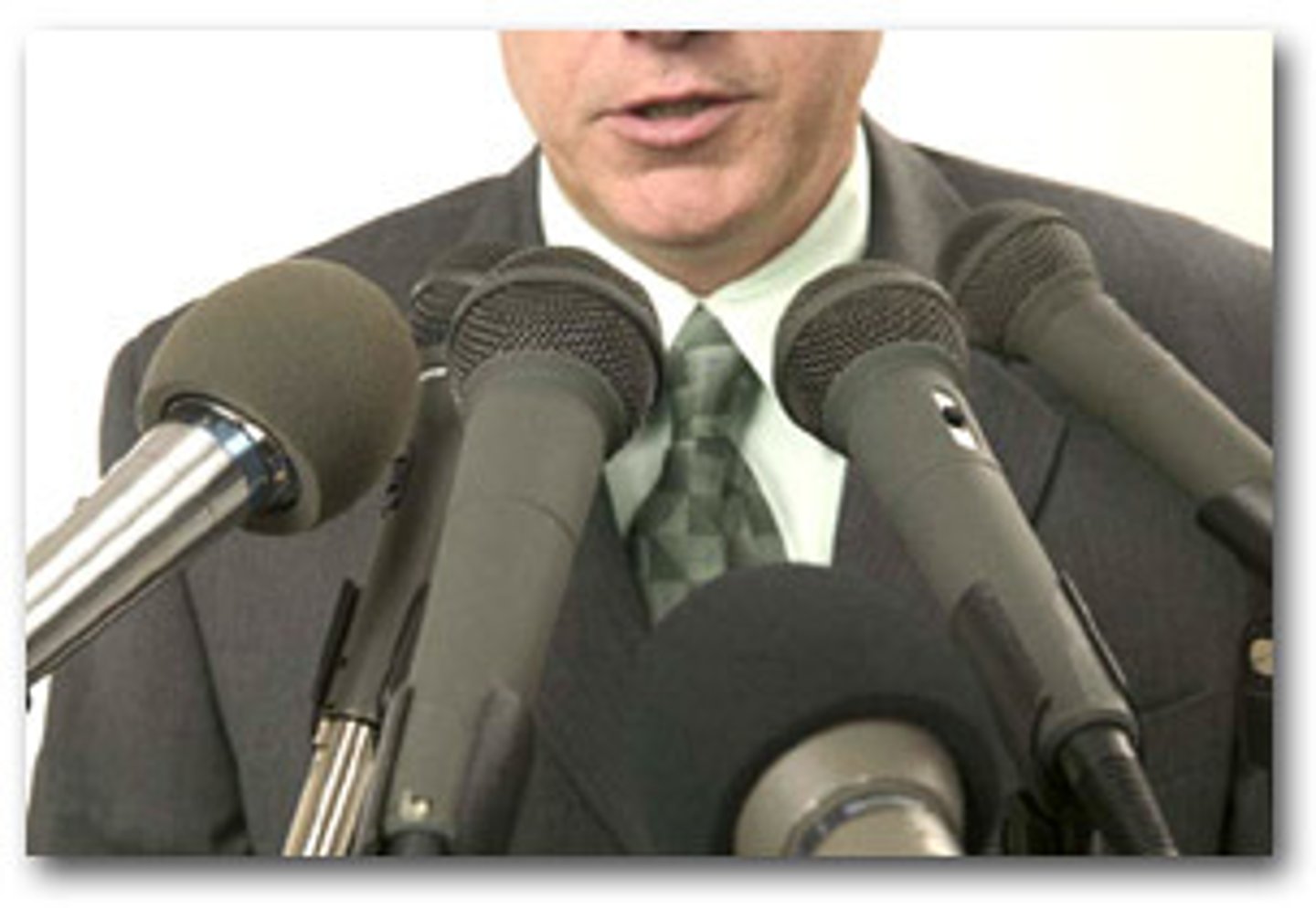 <p>spokespersons</p>