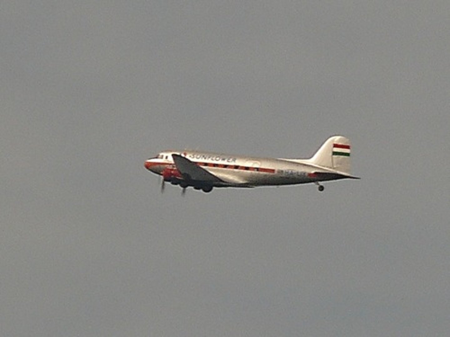 <p>by plane</p>