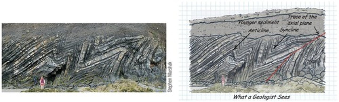 <p>A folded structure that arches upward in the center, with limbs dipping away from the axial plane.</p>