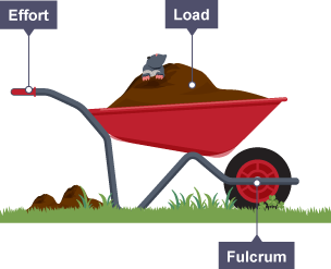 <p>place the fulcrum at one end of the lever and the effort at the other with the load in the centre</p><p>the closer together the fulcrum &amp; load are, the easier it is to lift the load</p><p>eg wheelbarrows, nutcrackers &amp; bottle openers</p>
