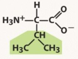Non-polar
-shaped like a v