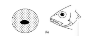 <p>What is this mouth position in this picture?</p>