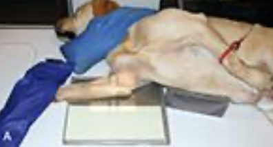 <p>what’s this position?</p>