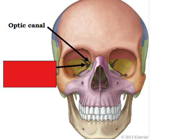<p>fill in the red box:</p>