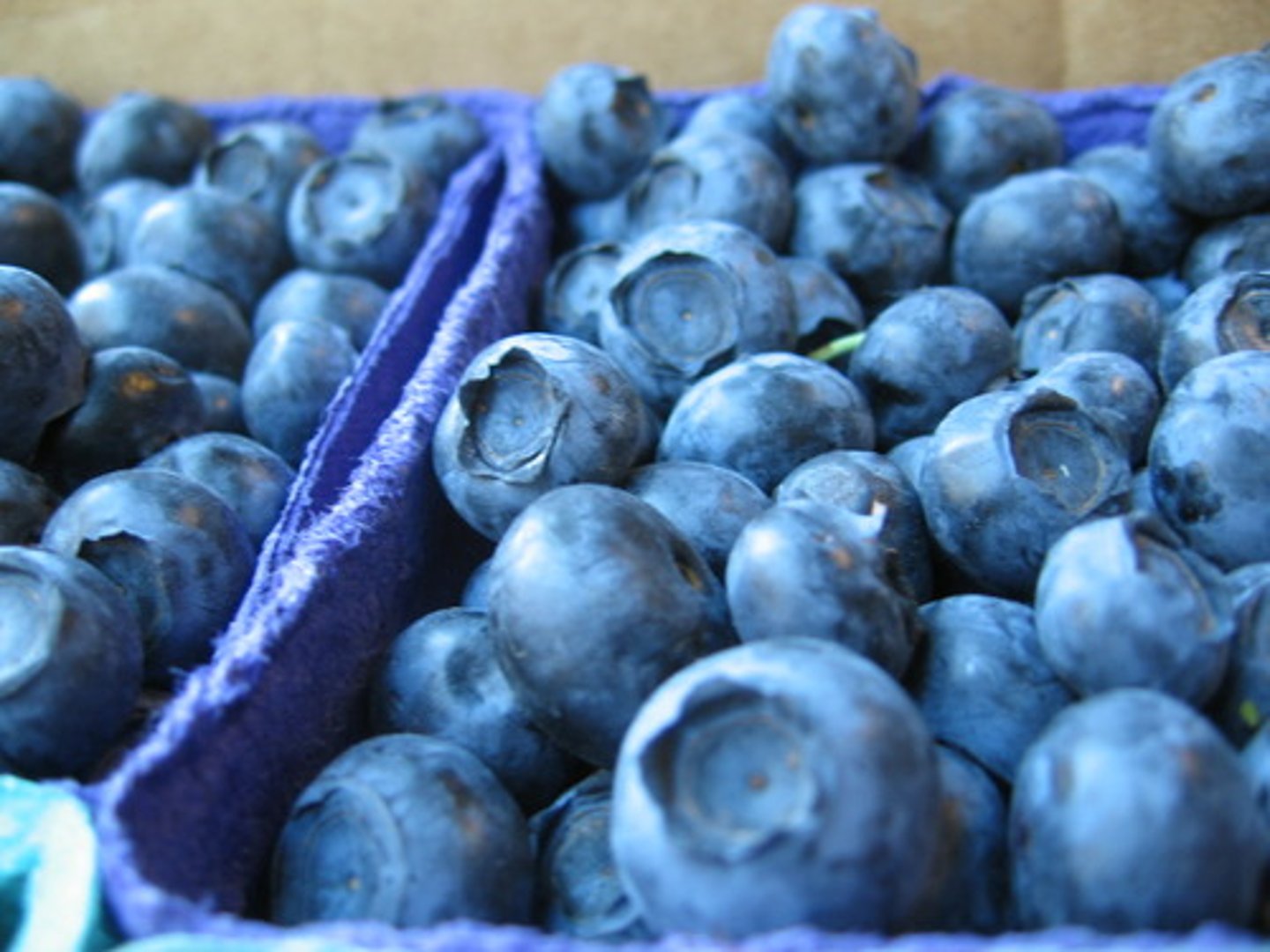 <p>blueberries</p>