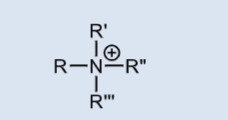 <p>Permanently charged across pH range</p>