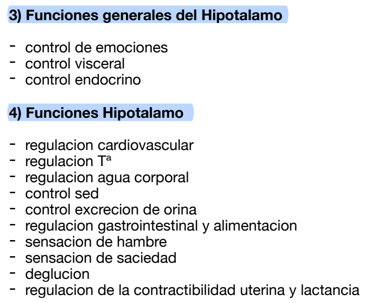 <p><span style="font-size: calc(var(--scale-factor)*18.77px)">– Control e integración del <strong>SNV</strong></span><br><span style="font-size: calc(var(--scale-factor)*18.77px)">– Sentimientos de <strong>rabia </strong>y <strong>agresión</strong></span><br><span style="font-size: calc(var(--scale-factor)*18.80px)">– Contribuye en los <strong>patrones </strong>del <strong>sueño</strong></span></p>