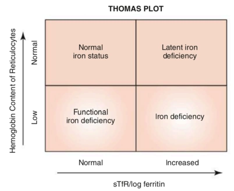 <p>into which quadrant of Thomas plot would px’s results fall with the ff. test results?</p><p>soluble transferrin receptor - increased above reference interval</p><p>ferritin - decreased below reference interval</p><p>Hgb content of reticulocytes - within reference interval</p>