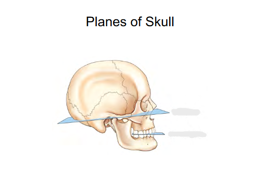 <p>Planes of Skull </p>