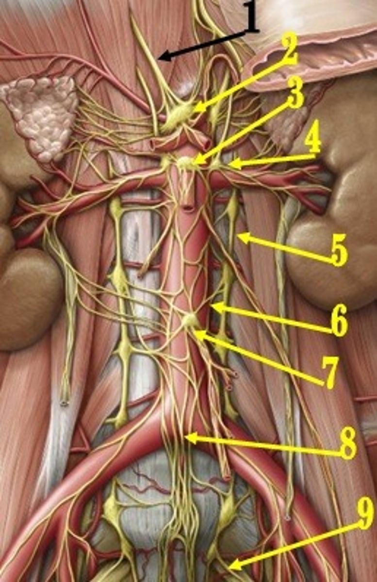 <p>2</p>