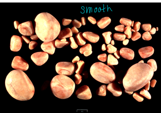 <p><span style="background-color: transparent;"><strong>Struvite Uroliths</strong></span></p>