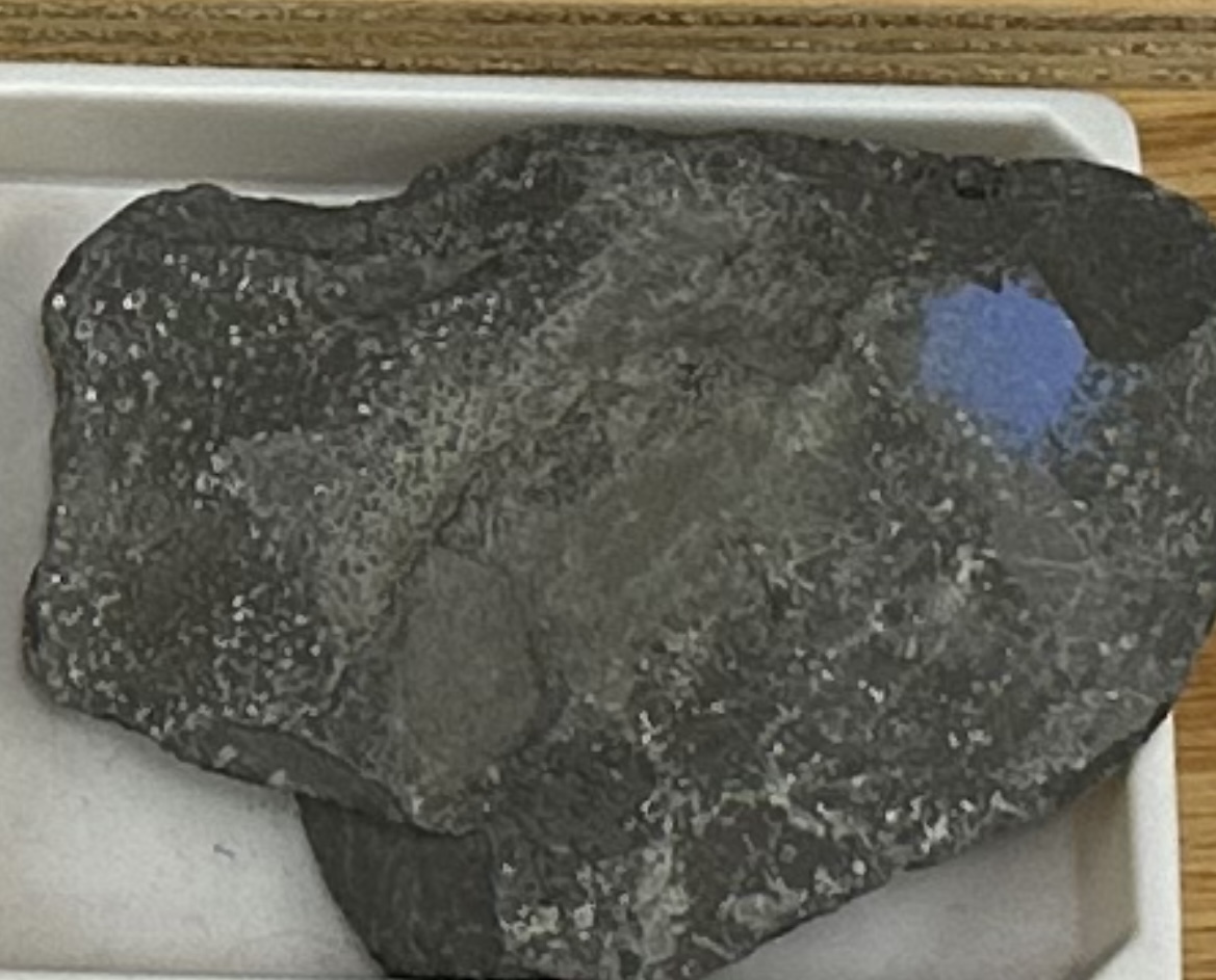 <p><strong><u>CLASTIC/DETRITAL</u></strong></p><p><strong>GRAIN:</strong></p><p>size— &lt;1/256mm, shape— very fine, sorting— well-sorted</p><p><strong>HCI: </strong>NO reaction</p><p><strong>ENVIRONMENT:</strong> continental to marine</p><p><strong>CEMENT:</strong> calcite</p><p><strong>POROUS:</strong> yes</p><p><strong>MINERAL(S): </strong>mostly clay, quartz, feldspars<br><strong>OTHER:</strong> splits easily, feels chalky-to-smooth</p>