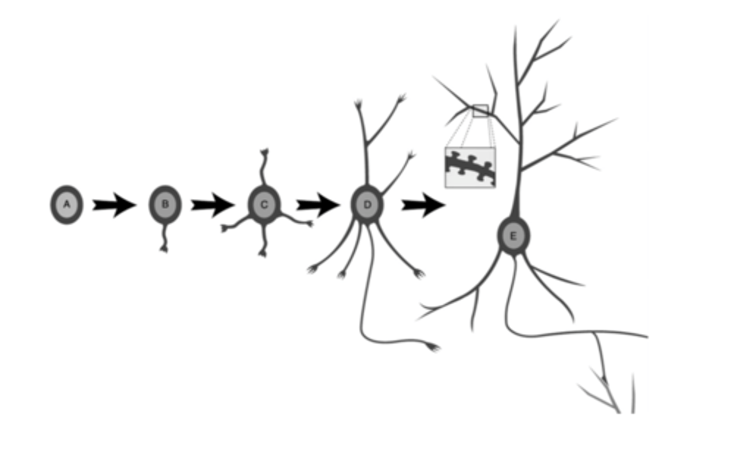 <p>No</p>