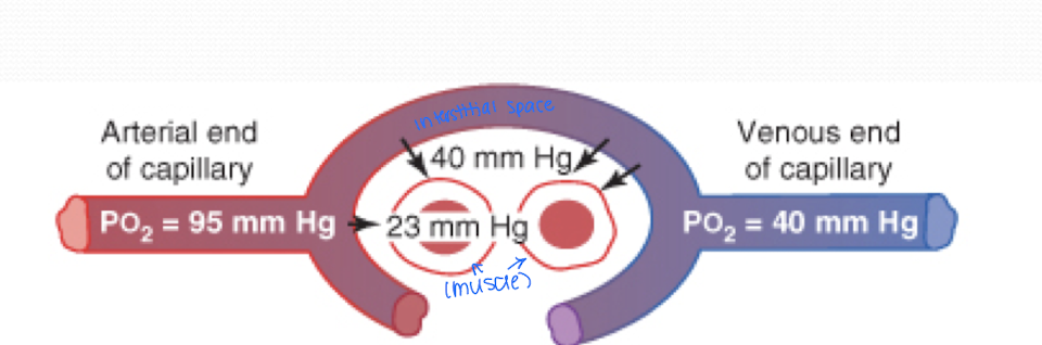 <p>Explain this image</p>