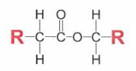 carbonyl group with oxygen on one side and hydrocarbon carbon on the other