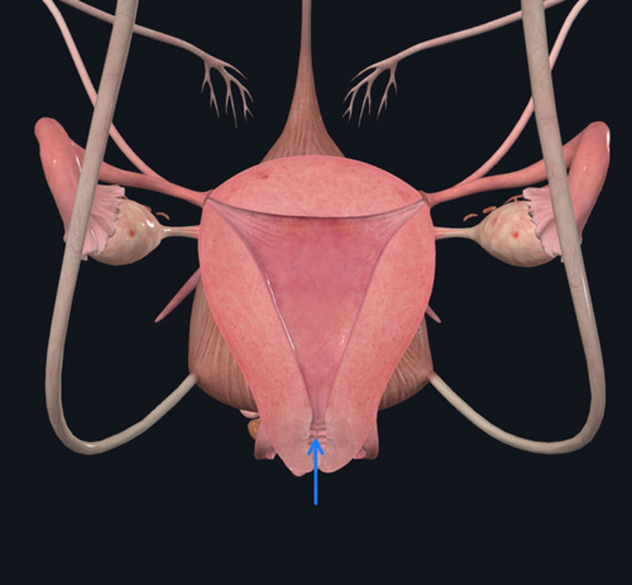 <p>ID Passageway marked by the Blue Arrow</p>