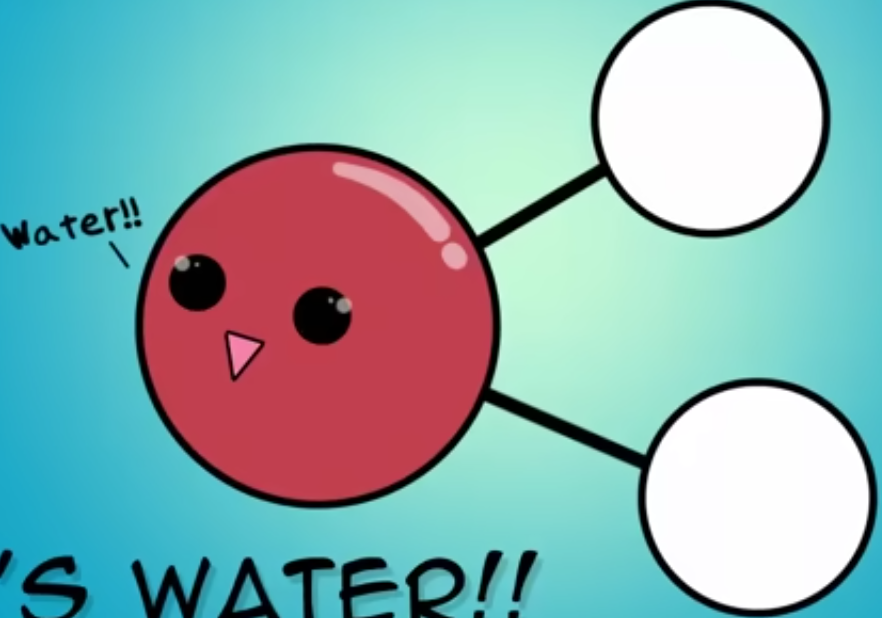<p>Water has a V shape.</p>
