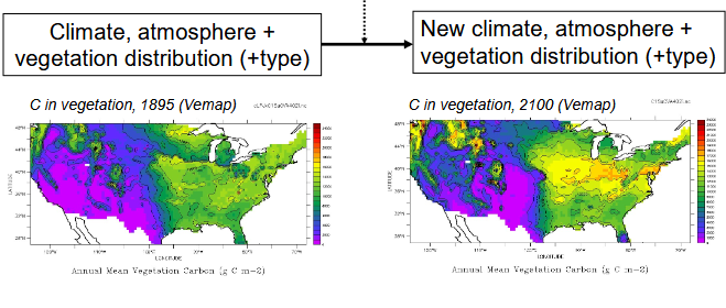 <ul><li><p><span>assuming no secondary (ie. regrowth) vegetation</span></p></li><li><p><span>Climate, atmosphere and vegetation distribution/type -&gt; new climate, atmosphere and vegetation distribution/type</span></p></li><li><p><span>no transition, no dynamic responses (e.g. to CO2, water use)</span></p></li></ul><p></p>